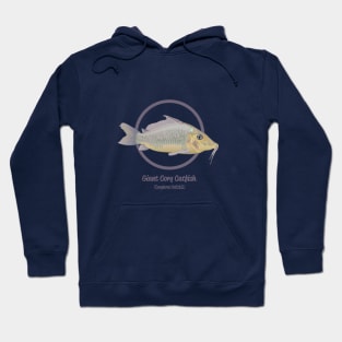 Giant Cory Catfish Hoodie